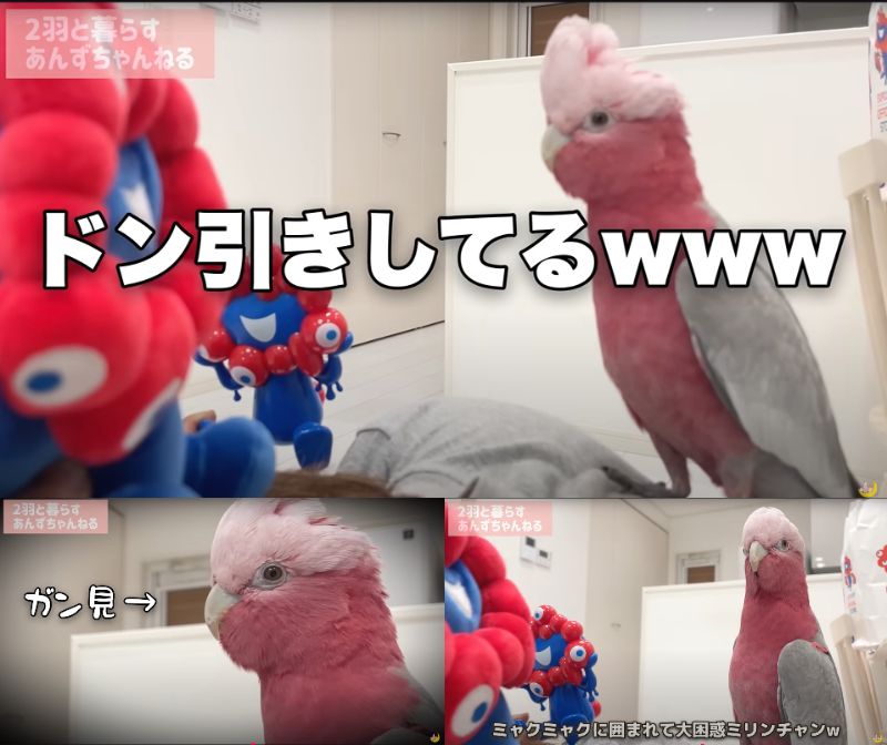 出所：@anz_omomiri