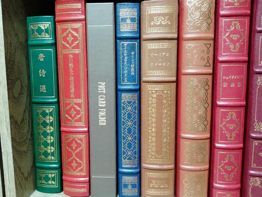 筆者撮影（セリア、ポストカードファイル2段 96ポケット クラシック柄）