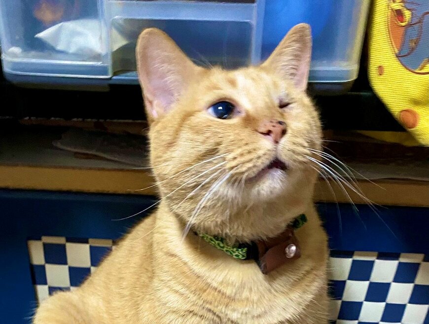 出所：@luna7taka9