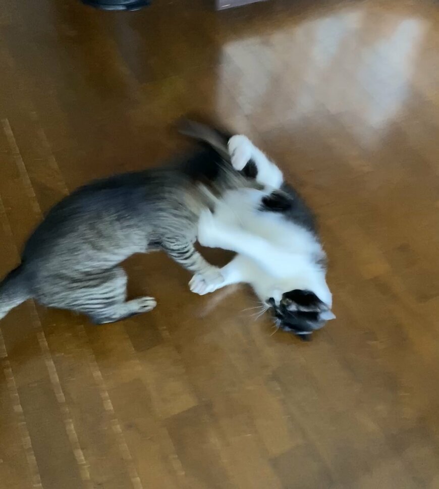 出所：@00shitemita