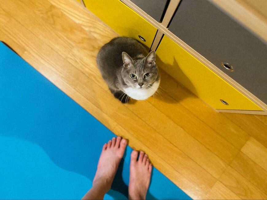 出所：@megthekitten