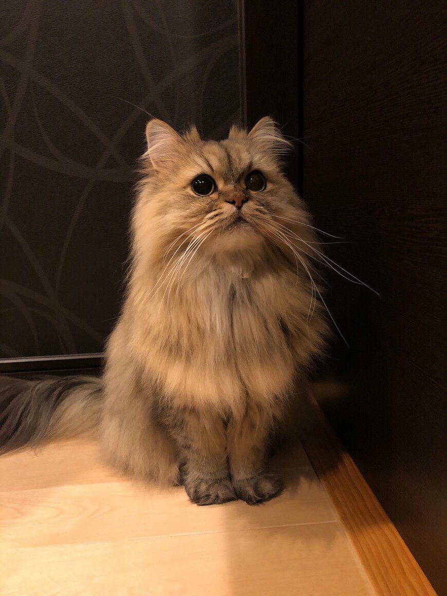 出所：@UphQepCv8J