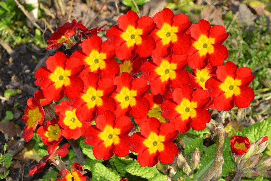 PeterEtchells/istockphoto.com