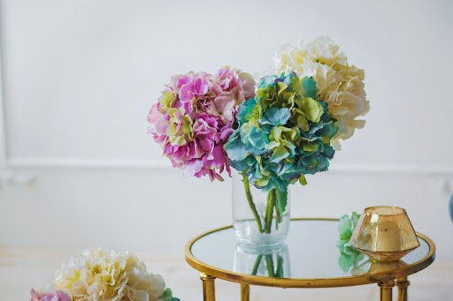 Rina Chypachenko/shutterstock.com