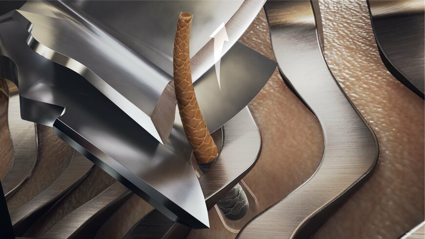 出所：株式会社フィリップス・ジャパン提供