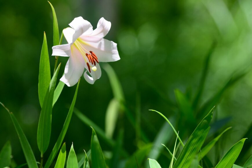 PSPS/shutterstock.com