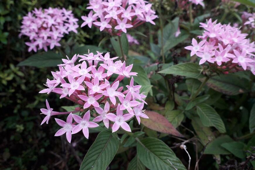 ANI DWI WAHYUNI/istockphoto.com