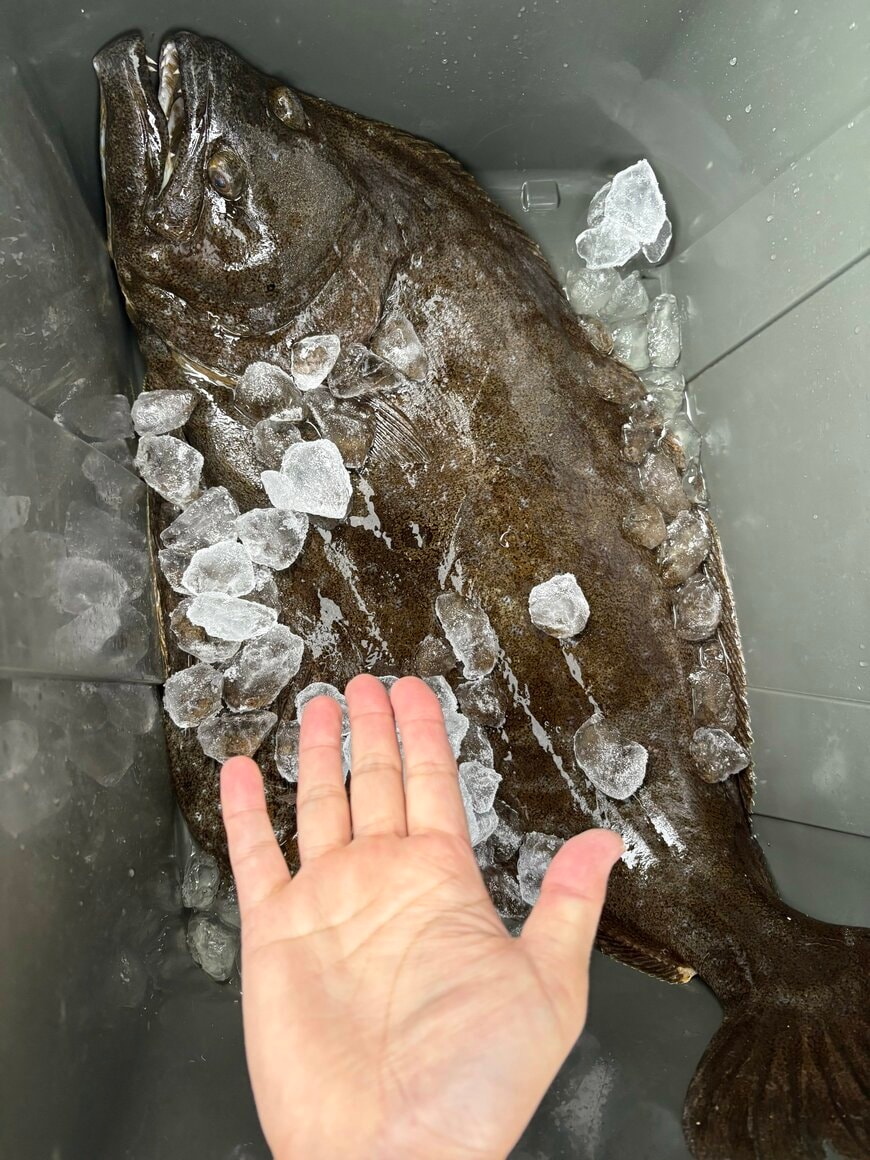 出所：@hiropi1977