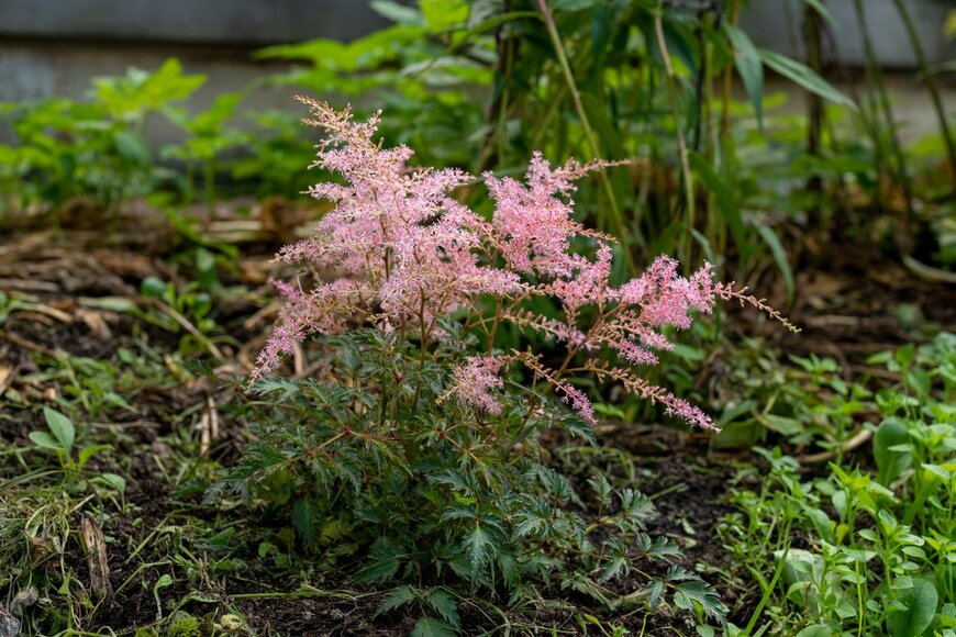 Jemva/Shutterstock.com