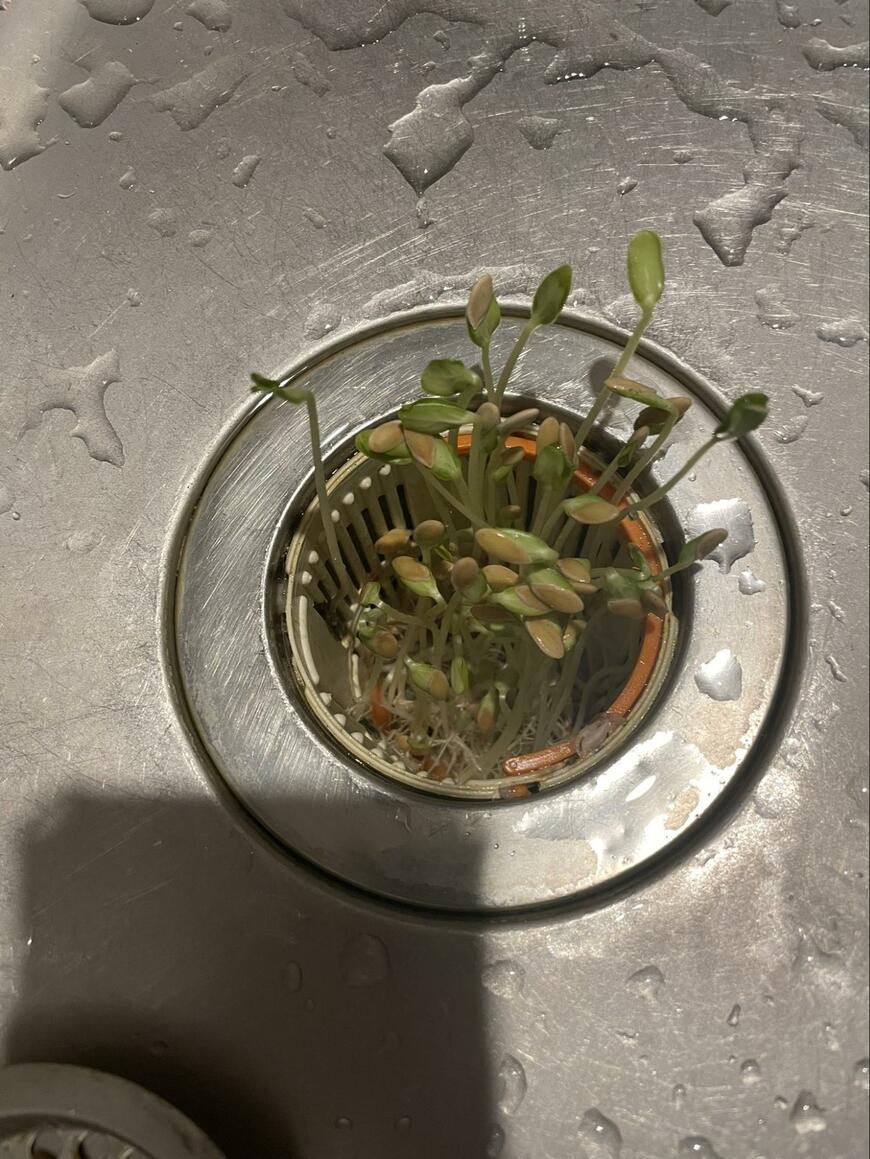 出所：@yutamaru0308