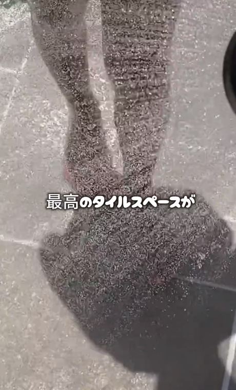 出所：@big_chiyomarumama