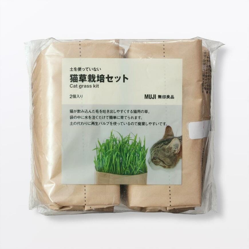 無印良品、土を使っていない 猫草栽培セット商品画像