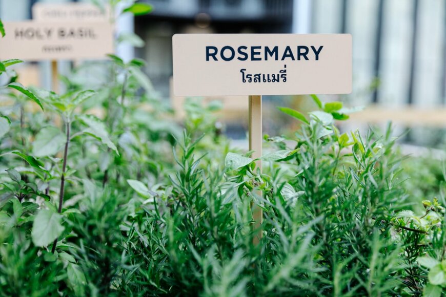 ガーデニングで使うネームプレート。植えた花の位置や花の種類が分かるように設置する。写真はローズマリーのネームプレート。