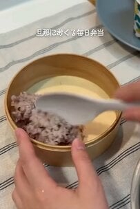 「クオリティすごすぎる」斬新な詰め方の【ハンバーグ卵そぼろ弁当】に驚きの声続出