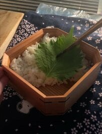 【鮭のマヨマスタード焼き弁当】鮭ひと切れドーン！彩り副菜もたっぷり詰まった大満足なお弁当が話題