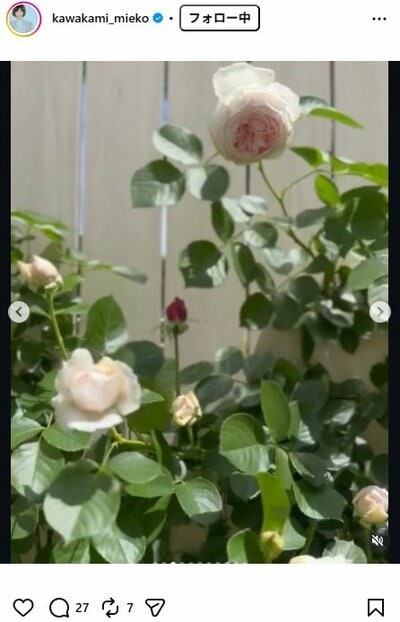 川上未映子のInstagram投稿