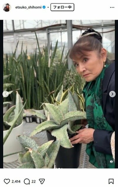 志穂美悦子のInstagram投稿