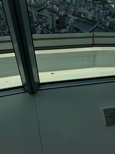 東京スカイツリーからの眺め