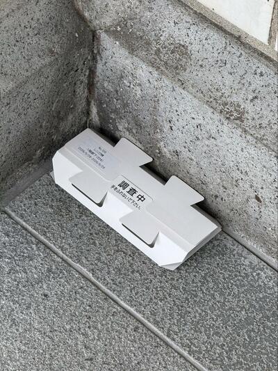 投稿の画像