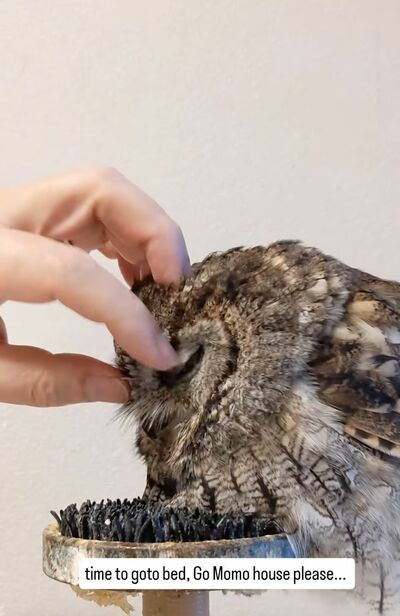 投稿動画のワンシーン