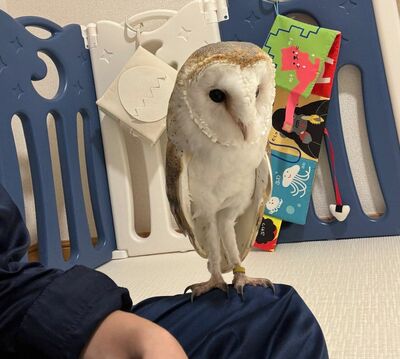 投稿動画のワンシーン