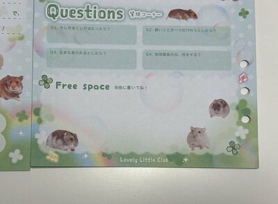 セリア、A5カスタムノートリフィルプロフィール帳 18P Lovely Little Club商品画像