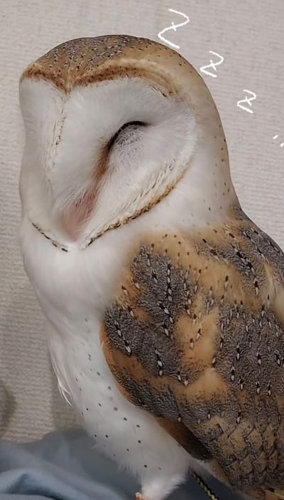 投稿動画のワンシーン