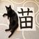 「リアルけものへん」黒猫が苗の字のとなりで体を伸ばして　「猫」の漢字が完成する愛らしい一枚