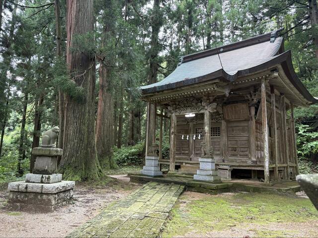 【新潟県】狛犬のような猫の像　「鋭い目つきのユニークな石像」が設置された神社に注目集まる