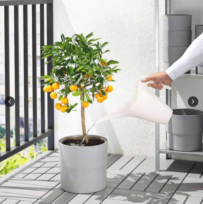 容量も1.2リットルとちょっとした水やりには十分