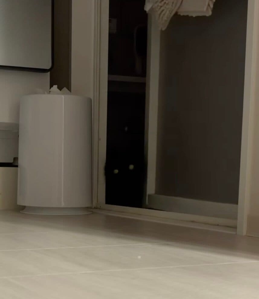 出所：@kotetsu_0420