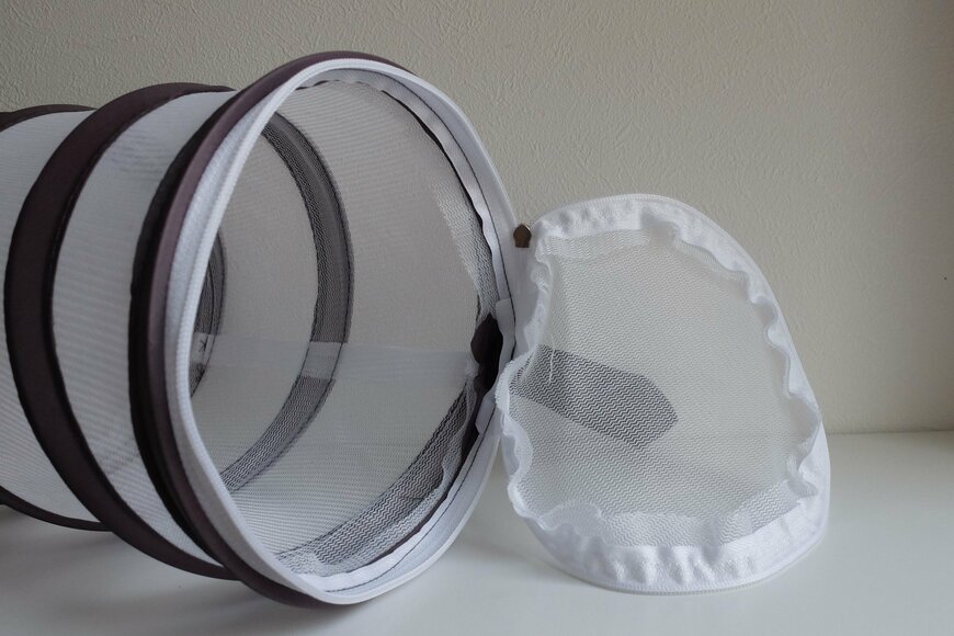 筆者撮影（ダイソー、昆虫採集網）