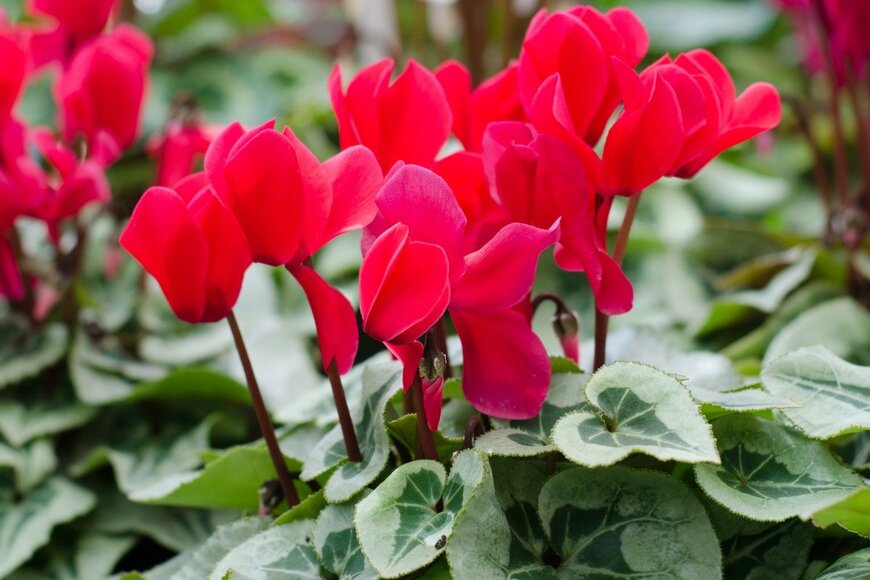 joloei/istockphoto.com