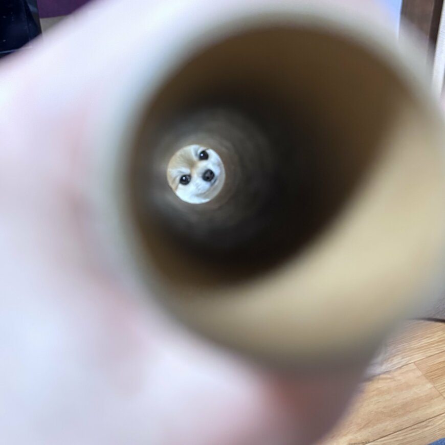 出所：@sol_to_uru