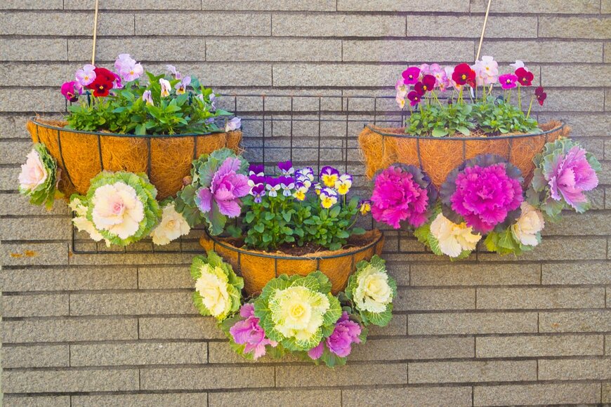 Fotos593/shutterstock.com