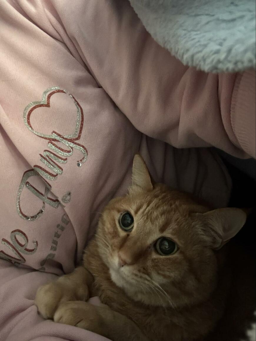 出所：@kagisuzu0531