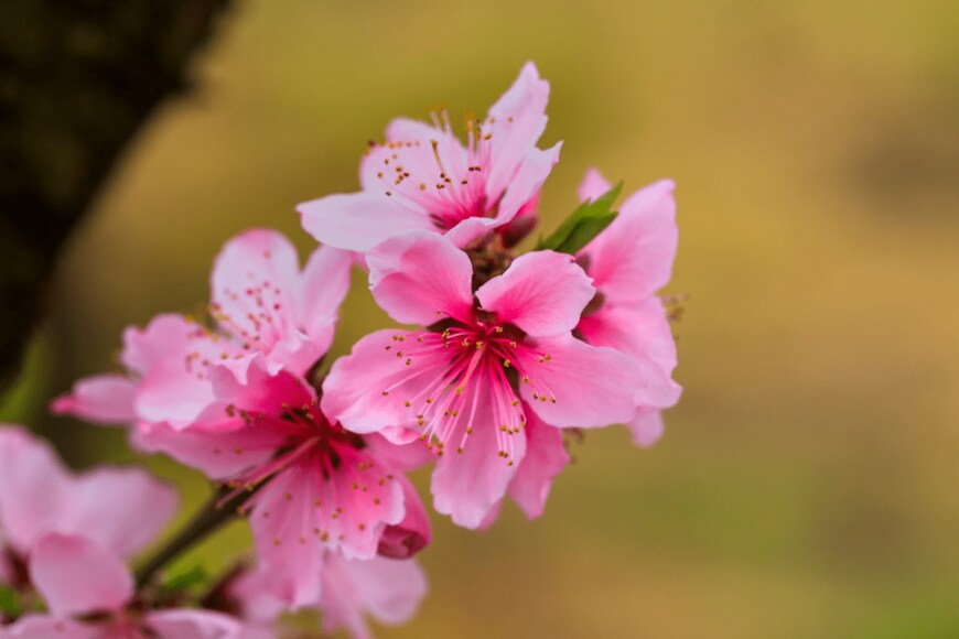 Norimoto/istockphoto.com