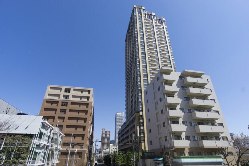 shigemi okano/shutterstock.com