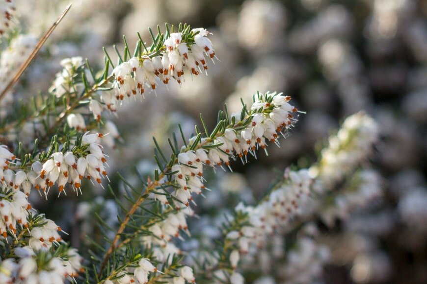 MaYcaL/istockphoto.com