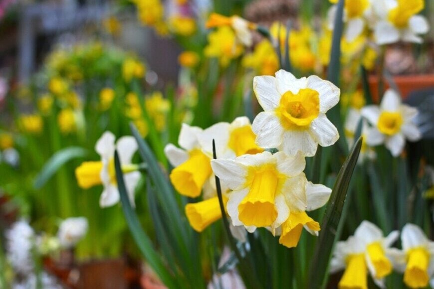 Iva Vagnerova/istockphoto.com