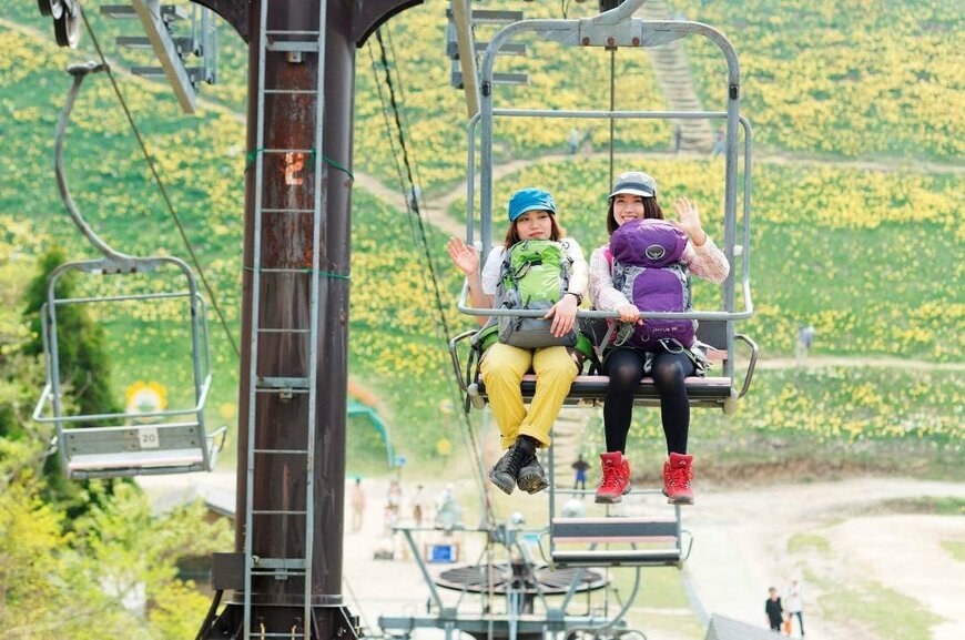 画像出所：アルピナリゾーツ「【びわ湖バレイのGW】スイセン・琵琶湖・空が奏でる、黄色と青のコントラスト関西最大級30万球スイセンの丘、まもなく見ごろ！」