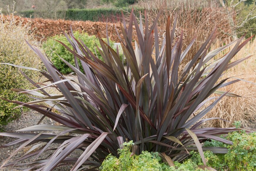 Peter Turner Photography/Shutterstock.com