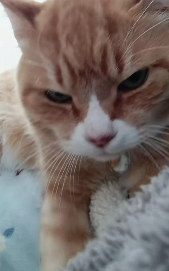 出所：@torakichicorporation