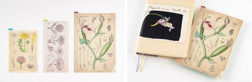 出所：ほぼ日『NHK朝ドラ『らんまん』のモデル・牧野富太郎博士の「植物図」がほぼ日手帳2024のラインナップに登場！』