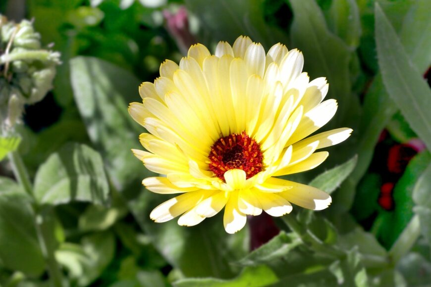 Dr Ajay Kumar Singh/shutterstock.com