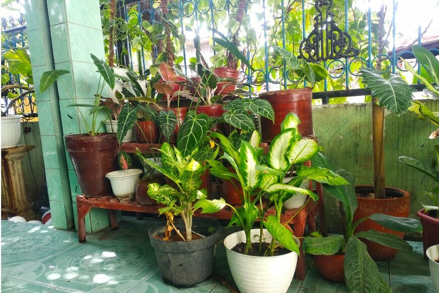 Shot what you like/shutterstock.com