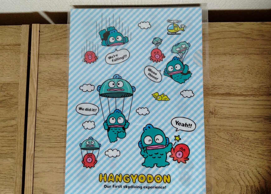 筆者撮影（セリア、A4クリアファイル H/G ポップ）