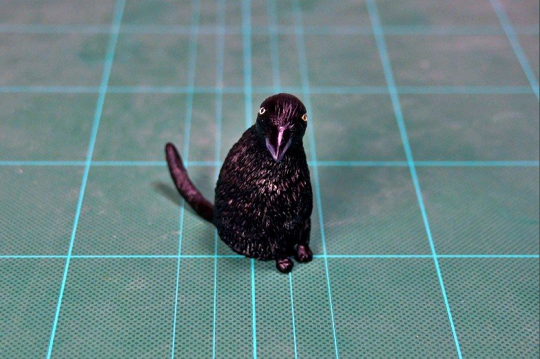 角度を変えると……カラス！ でもしっぽがある!?