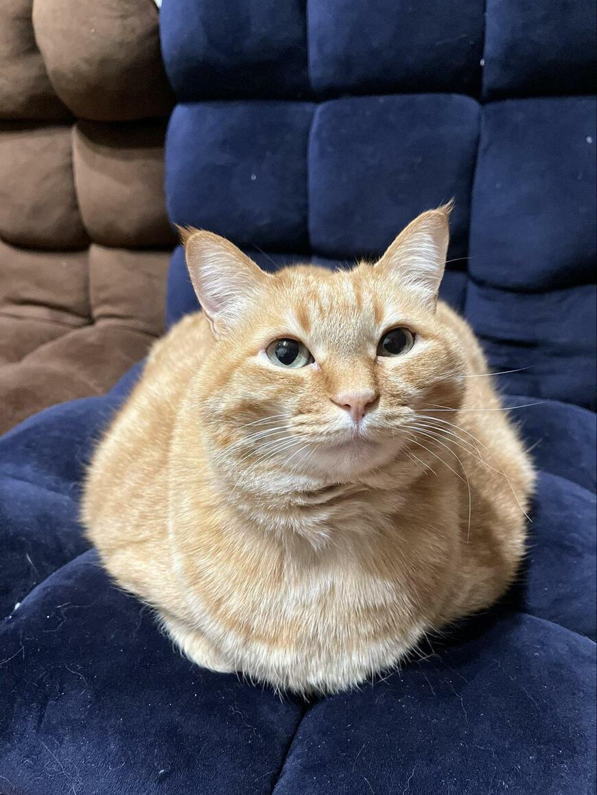 出所：@kagisuzu0531