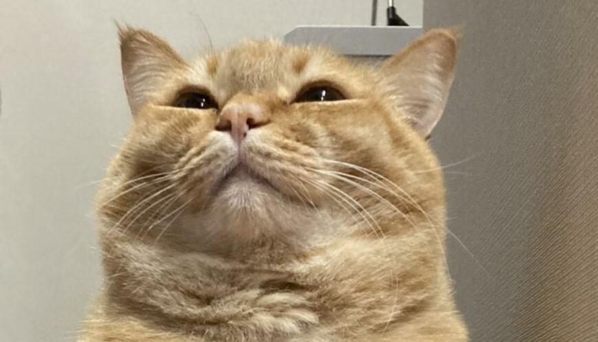 出所：@kagisuzu0531